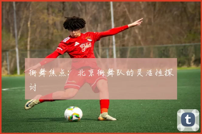 街舞焦点：北京街舞队的灵活性探讨